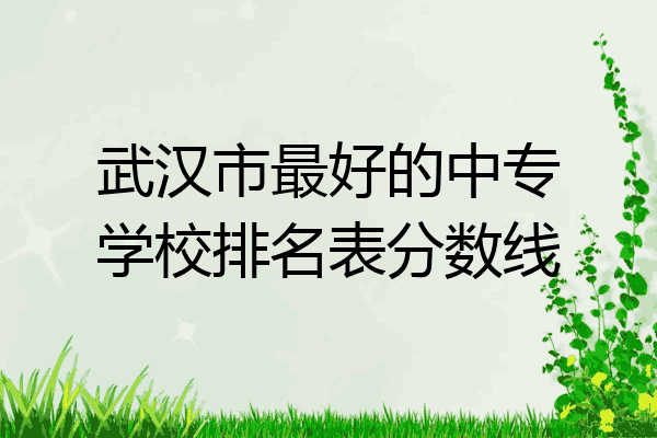 武汉市最好的中专学校排名表分数线