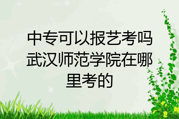 中专可以报艺考吗武汉师范学院在哪里考的
