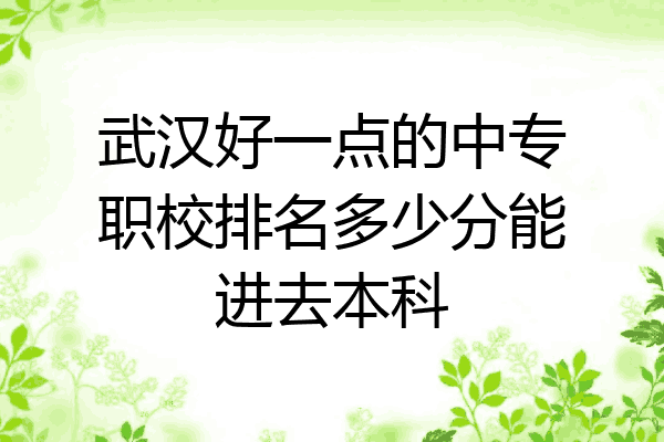 武汉好一点的中专职校排名多少分能进去本科