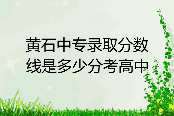 黄石中专录取分数线是多少分考高中