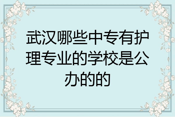 武汉哪些中专有护理专业的学校是公办的的
