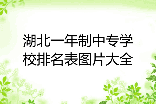 湖北一年制中专学校排名表图片大全