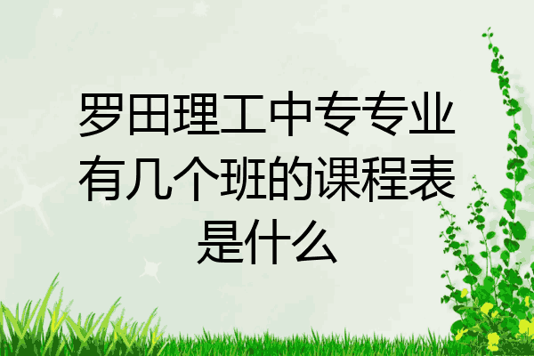 罗田理工中专专业有几个班的课程表是什么