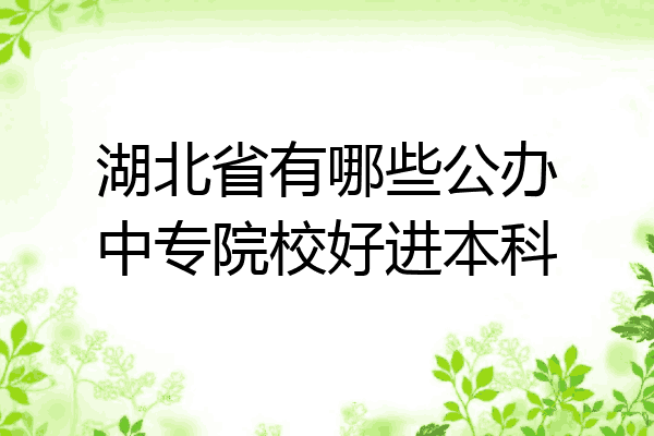 湖北省有哪些公办中专院校好进本科