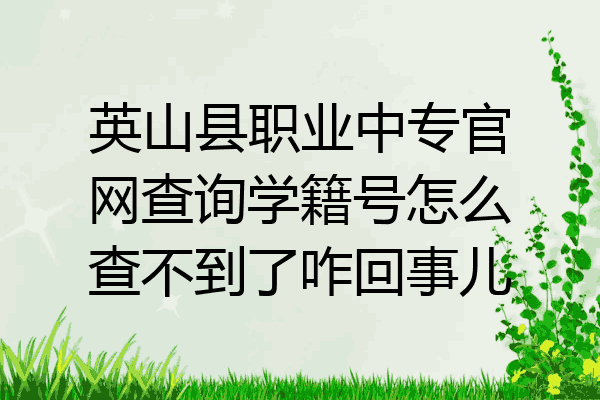 英山县职业中专官网查询学籍号怎么查不到了咋回事儿