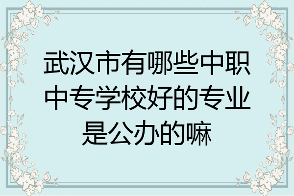武汉市有哪些中职中专学校好的专业是公办的嘛