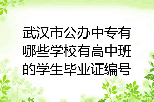 武汉市公办中专有哪些学校有高中班的学生毕业证编号