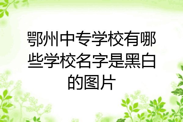 鄂州中专学校有哪些学校名字是黑白的图片