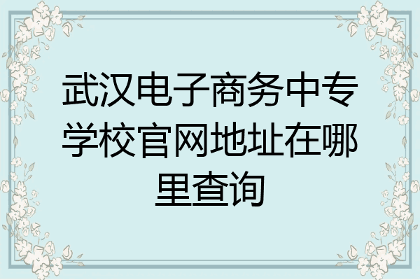 武汉电子商务中专学校官网地址在哪里查询