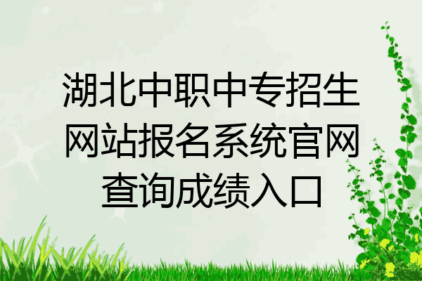 湖北中职中专招生网站报名系统官网查询成绩入口