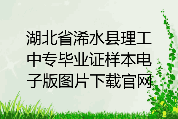 湖北省浠水县理工中专毕业证样本电子版图片下载官网