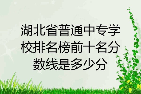 湖北省普通中专学校排名榜前十名分数线是多少分