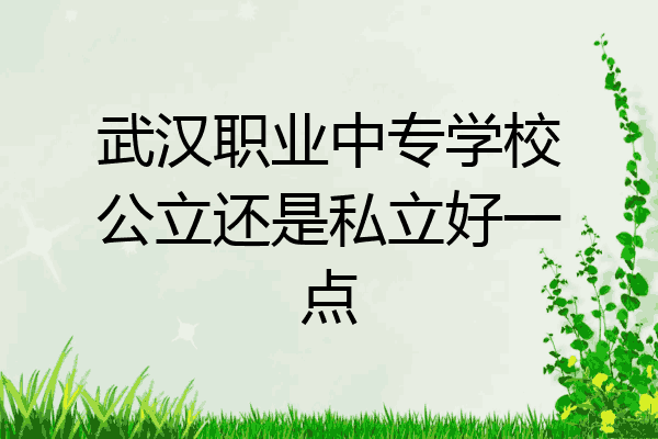 武汉职业中专学校公立还是私立好一点