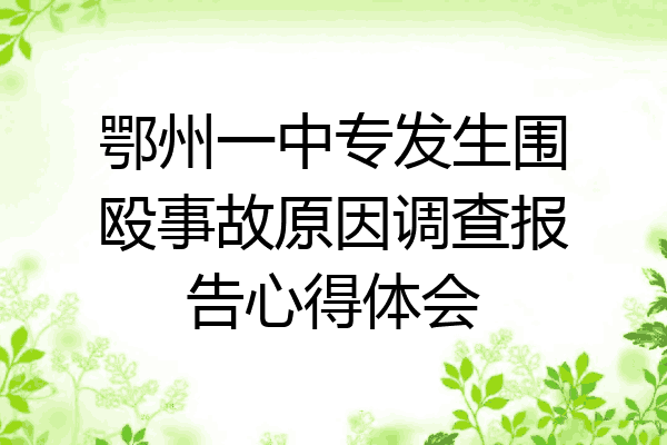 鄂州一中专发生围殴事故原因调查报告心得体会