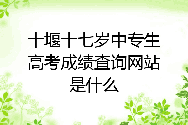 十堰十七岁中专生高考成绩查询网站是什么