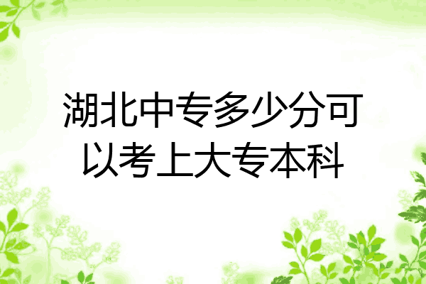湖北中专多少分可以考上大专本科