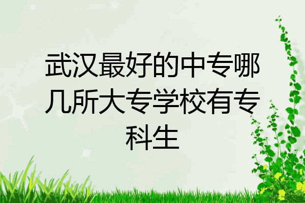 武汉最好的中专哪几所大专学校有专科生