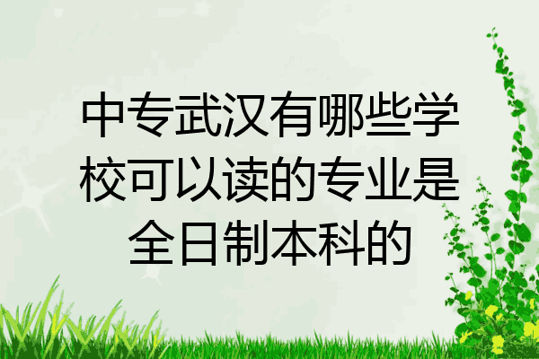 中专武汉有哪些学校可以读的专业是全日制本科的