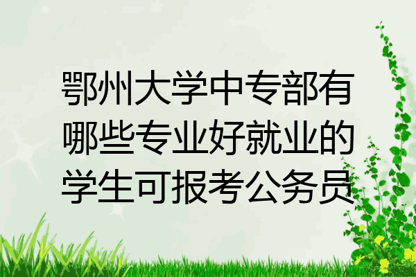 鄂州大学中专部有哪些专业好就业的学生可报考公务员