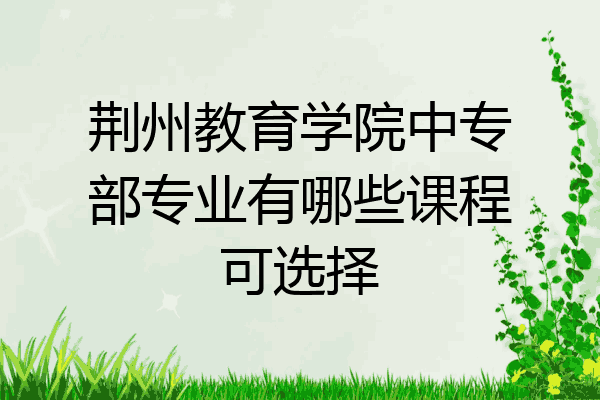 荆州教育学院中专部专业有哪些课程可选择