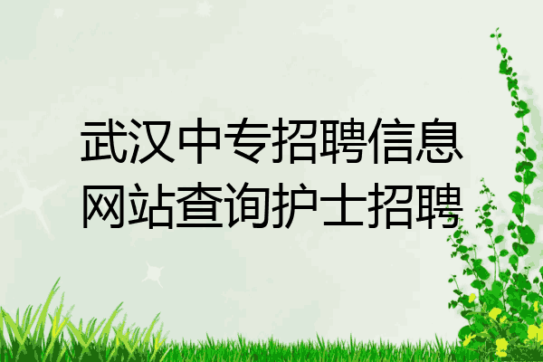 武汉中专招聘信息网站查询护士招聘