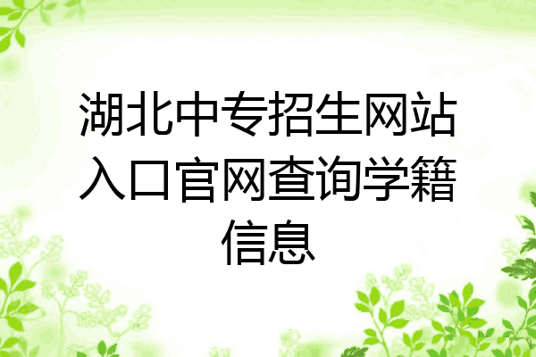 湖北中专招生网站入口官网查询学籍信息