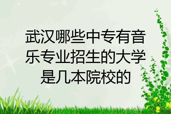 武汉哪些中专有音乐专业招生的大学是几本院校的