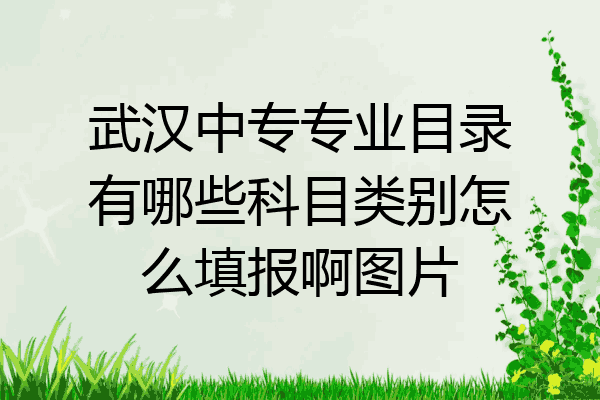 武汉中专专业目录有哪些科目类别怎么填报啊图片