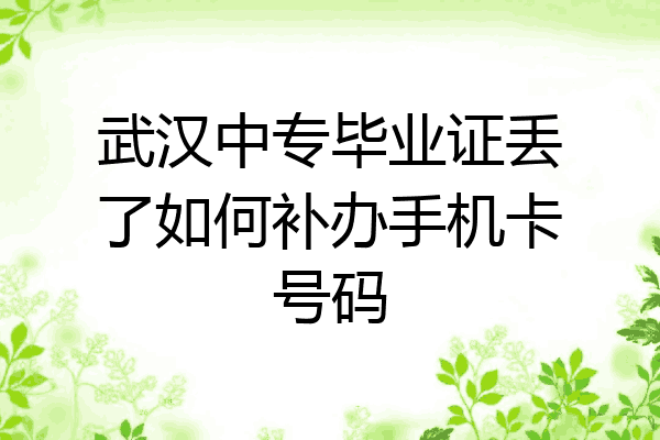 武汉中专毕业证丢了如何补办手机卡号码