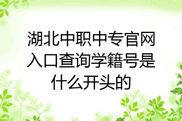 湖北中职中专官网入口查询学籍号是什么开头的