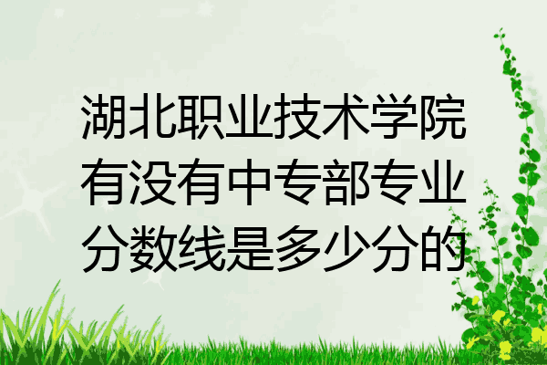 湖北职业技术学院有没有中专部专业分数线是多少分的