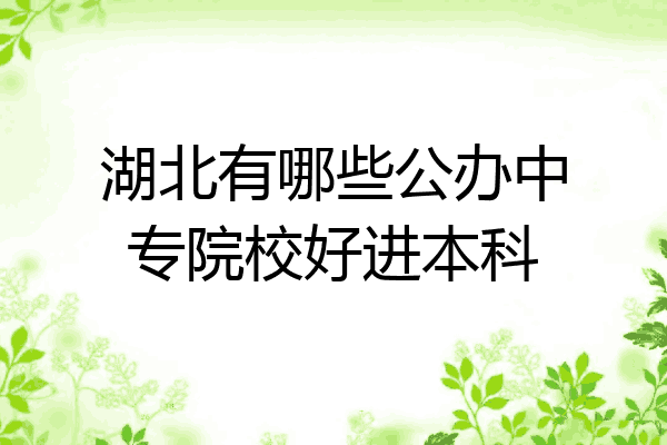 湖北有哪些公办中专院校好进本科