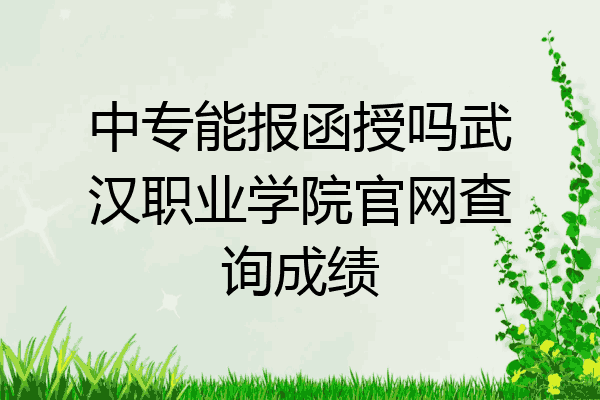 中专能报函授吗武汉职业学院官网查询成绩