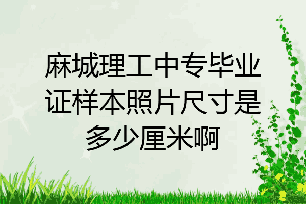 麻城理工中专毕业证样本照片尺寸是多少厘米啊
