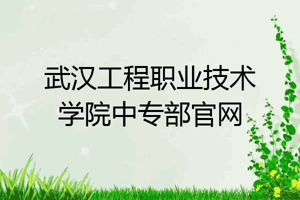 武汉工程职业技术学院中专部官网
