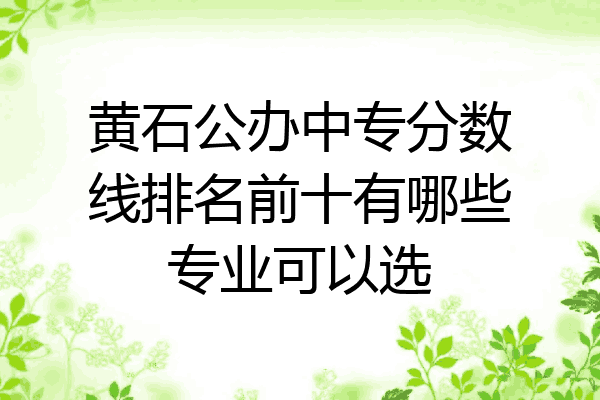 黄石公办中专分数线排名前十有哪些专业可以选