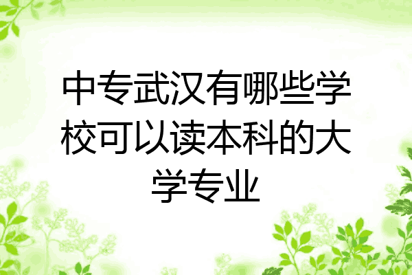 中专武汉有哪些学校可以读本科的大学专业
