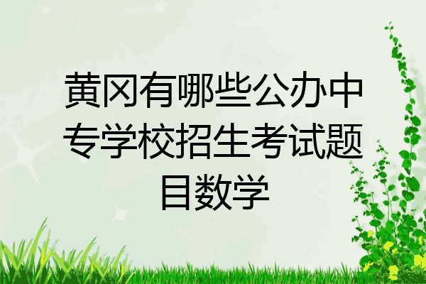 黄冈有哪些公办中专学校招生考试题目数学