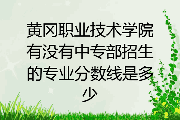 黄冈职业技术学院有没有中专部招生的专业分数线是多少