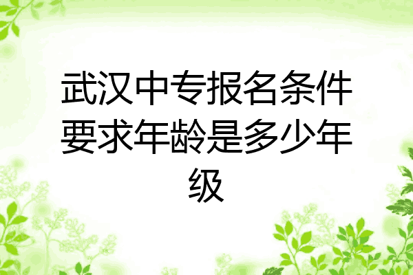 武汉中专报名条件要求年龄是多少年级