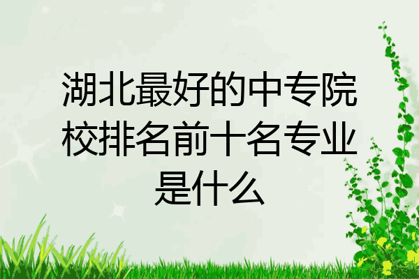 湖北最好的中专院校排名前十名专业是什么