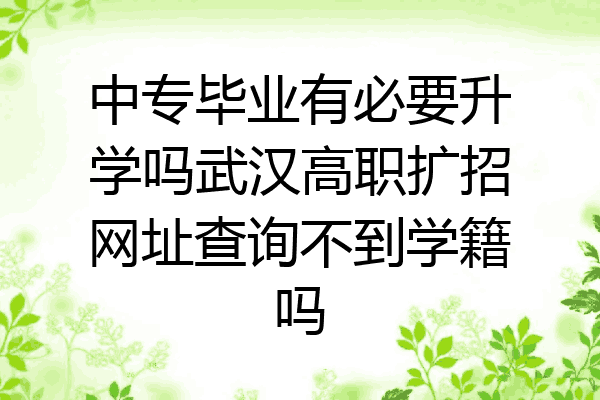 中专毕业有必要升学吗武汉高职扩招网址查询不到学籍吗