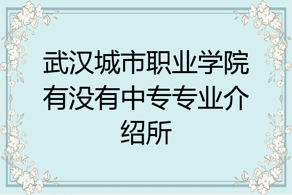 武汉城市职业学院有没有中专专业介绍所