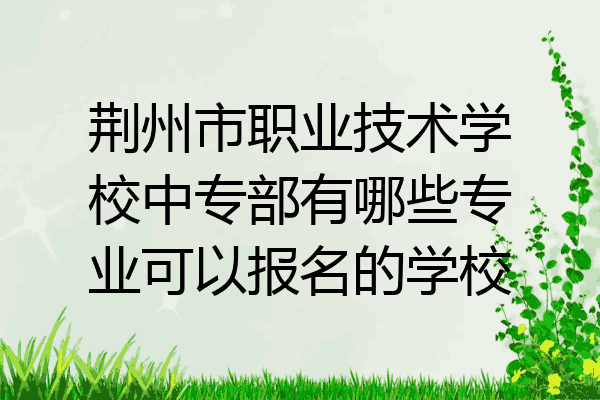 荆州市职业技术学校中专部有哪些专业可以报名的学校