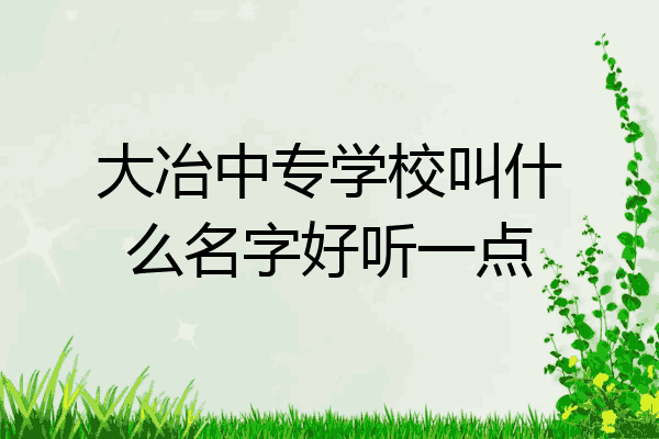 大冶中专学校叫什么名字好听一点