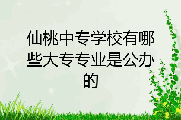 仙桃中专学校有哪些大专专业是公办的
