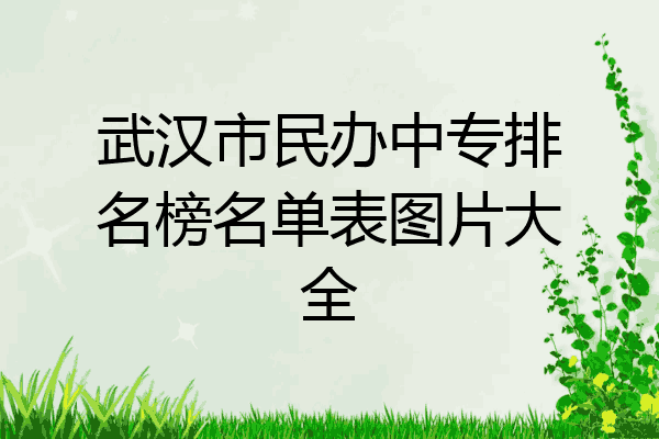 武汉市民办中专排名榜名单表图片大全