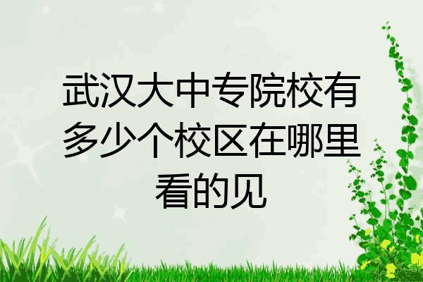 武汉大中专院校有多少个校区在哪里看的见