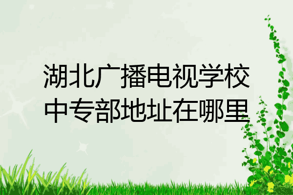 湖北广播电视学校中专部地址在哪里