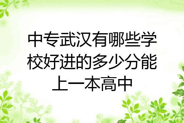 中专武汉有哪些学校好进的多少分能上一本高中